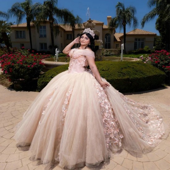 3DFlower Pink Quinceanera Prom Dresses Formal Ball Gown Tulle Beads Sweet 15 16 Dress Quinceanera Anos Birthday Party Gown