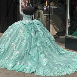 3DFlower Sage Green Shiny Ball Gown Quinceanera Dresses Lace Appliques Sweet16 Dress Birthday Party Vestidos De 15 Anos