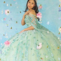 Off The Shoulder Sage Green 15 Quinceanera Dresses Lace Bow With Cape Evening Dresses Puffy Party Dress