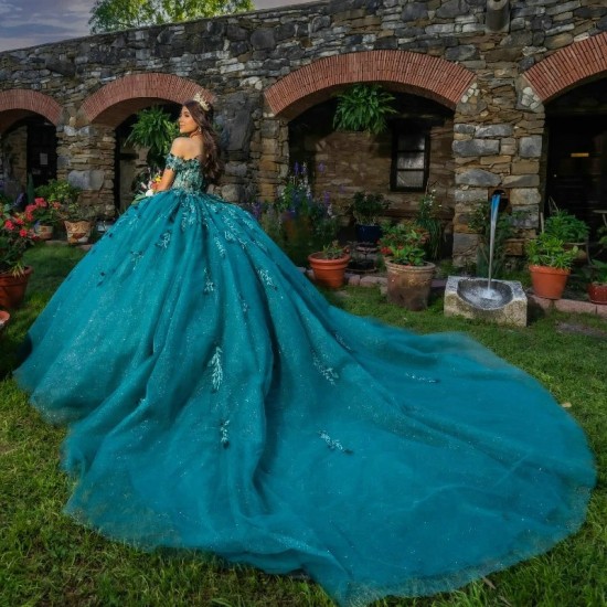 Blackish Green Shiny Quinceanera Dress For Sweet 16 Girl Applique Lace Sequined Beaded Tull Party Prom Dress vestidos de 15 anos