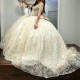 Light Champagne Shiny Quinceanera Dresses Ball Gown Sweetheart Lace Beading Tulle Lace Up Backless Party Princess Sweet 16 Dress