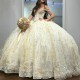 Light Champagne Shiny Quinceanera Dresses Ball Gown Sweetheart Lace Beading Tulle Lace Up Backless Party Princess Sweet 16 Dress