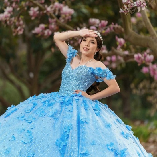 Mexico Sky Blue Ball Gown Quinceanera Dress Floral Flower Tull Sequins Beaded Off Shoulder Sweet 16 Vestido De 15 Anos