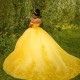 Mexico Yellow Shiny Ball Gown Quinceanera Dress Floral Lace Appliques Beaded Tull Sweet 16 Dress Lace up Vestido De 15 Anos