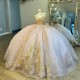 Off Shoulder Light Pink Quinceanera Dress Prom Dress Floral Gold Applique Lace Beads Tull Princess Dress Sweet 15 Year Old Party