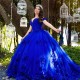 Off The Shoulder Royal Blue Ball Gown Quinceanera Dresses Flowers Appliques Beads Tull Corset Sweet 16 Dress Vestidos De 15