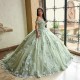 Off the Shoulder Sage Green Princess Quinceanera Dresses Ball Gown 2024 Sweet 16 Dress Beads Appliques Lace Tull 15th Party Gown