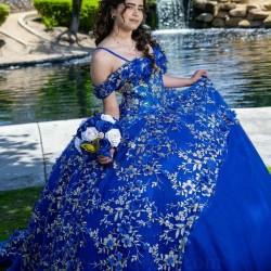 Puffy Royal Blue Princess Quinceanera Dresses 2024 Off Shoulder 3D Floral Gillter Sequins Lace up Corset Vestidos 15 anos rosa