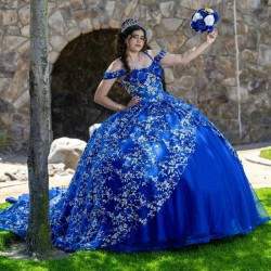 Puffy Royal Blue Princess Quinceanera Dresses 2024 Off Shoulder 3D Floral Gillter Sequins Lace up Corset Vestidos 15 anos rosa