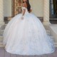 Sexy Sweetheart Quinceanera Dress Ball Gown 3D Floral Applique Beading Tull Corset Sweet 16 Vestidos De 15 Anos