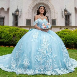 Shiny Princess Sky Blue Quinceanera Dress Ball Gown Elegant Classic Applique Lace Beads Tull Sweet 16 Dress Vestido 15 De