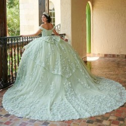 Shiny Sage Green Quinceanera Dresses Off The Shoulder Applique Lace Beads Tull Ball Gown Sweet 16 Dress Gowns vestidos 15 De