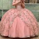 Princess Pink Girls Quinceanera Dresses Golld Applique Lace Flower Tull Lace Up Ball Gown Bithday Party Prom Wear Vestido De 16