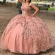 Princess Pink Girls Quinceanera Dresses Golld Applique Lace Flower Tull Lace Up Ball Gown Bithday Party Prom Wear Vestido De 16