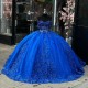 Shiny Blue Quinceanera Dresses Ball Gown Applique Lace Beads Birthday Party Dress Lace Up Graduation Gown Sweetheart de 15 anos