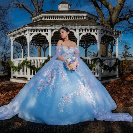 Shiny Sky Blue Ball Gown Quinceanera Dresses 3D Flowers Applique Lace Tull Vestidos De 15 Anos Corset Dress For 16th Birthday