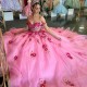 Sweetheart Pink Ball Gown Quinceanera Dresses For Girls Applique Flower Birthday Party Gowns Lace Up Back Graduation Prom Dress