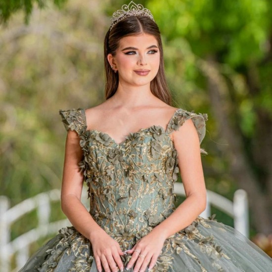 Sweetheart Sage Green Quinceanera Dress Floral Flowers Applique Lace Bead Princess Ball Gown Sweet 16 Party Vestidos 15 De XV An