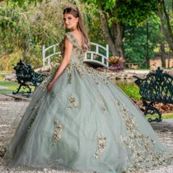 Sweetheart Sage Green Quinceanera Dress Floral Flowers Applique Lace Bead Princess Ball Gown Sweet 16 Party Vestidos 15 De XV An